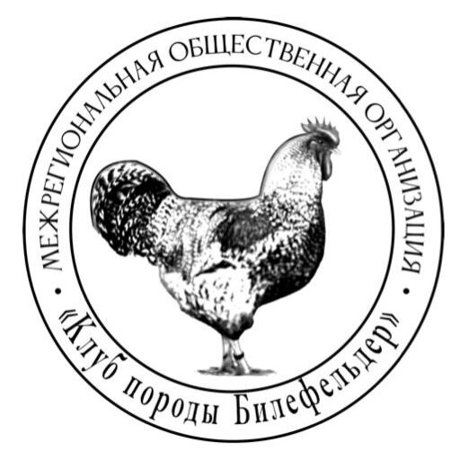 bielefelder-club.ru